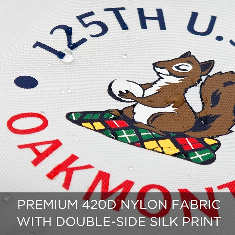 COGOLFING 2025 Themed Mini Golf Flag, 8x6 Inch, Double-Sided Silk-Printed, Durable 420D Nylon, Ideal for Backyard Practice Putting Green - Image 2